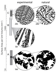 Fig.6_SvP summary_NEW_B&amp;W_final layers only_diss-01